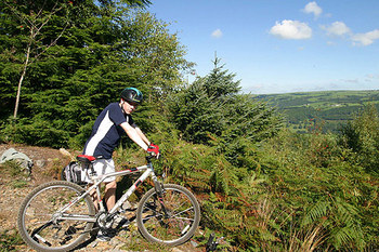 gwydyr forest biking.jpg